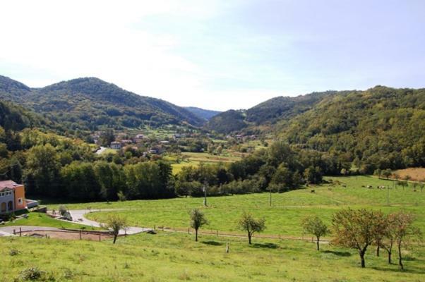 Hisa Posebne Sorte Kodreti